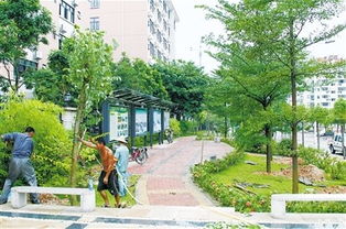 定鼎園林 專(zhuān)業(yè)園林景觀工程施工一站式解決方案